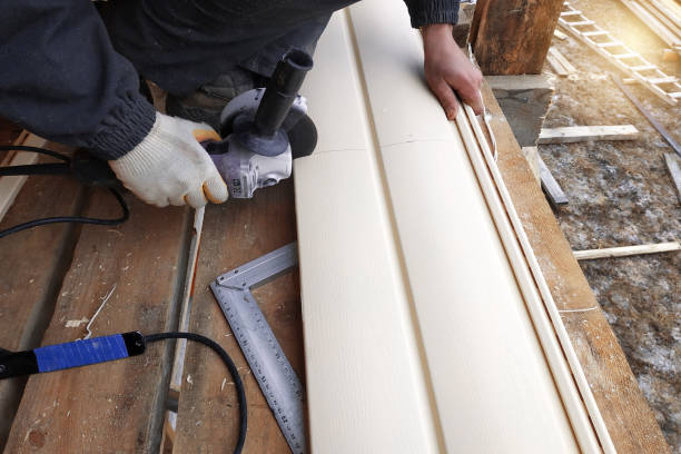 Best Vinyl Siding Installation  in Elkader, IA