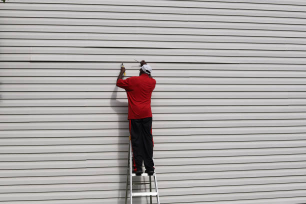 Best Vinyl Siding Installation  in Elkader, IA